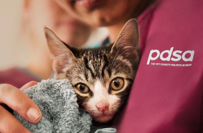 PDSA
